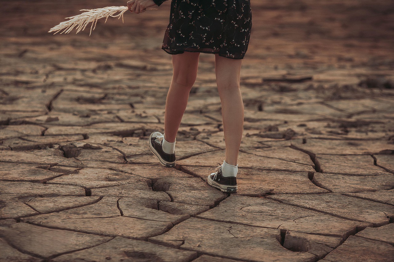 entdecken sie die überraschenden vorteile des klimawandels. erfahren sie, wie sich eine sich verändernde umwelt positiv auf ökosysteme, landwirtschaft und menschliches wohlbefinden auswirken kann. informieren sie sich über chancen und innovative ansätze zur anpassung an die neuen bedingungen.