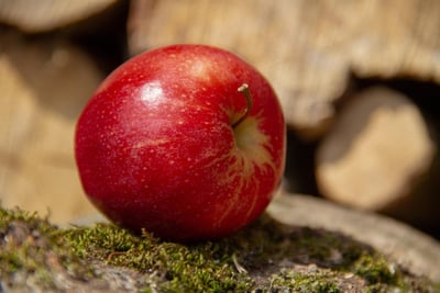 Welche Vitamine braucht mein Körper im Winter wirklich?